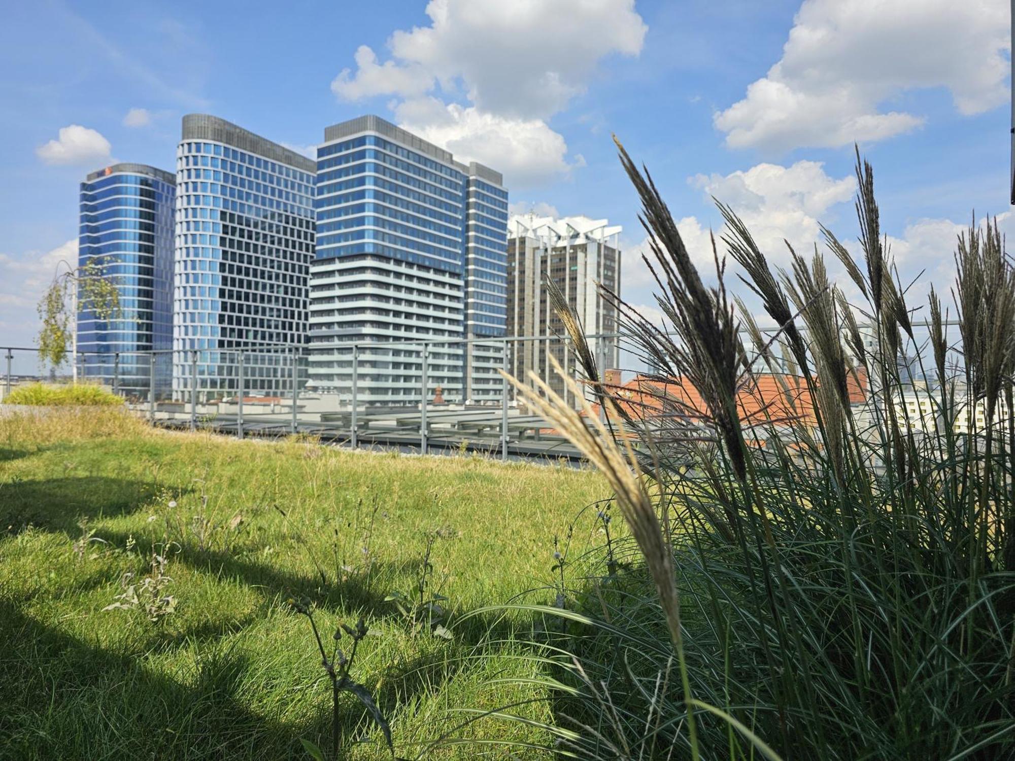 קטוביץ Urban Apartments Premium, Opolska 10 No 90, 2 Free Garages, Self Check-In מראה חיצוני תמונה